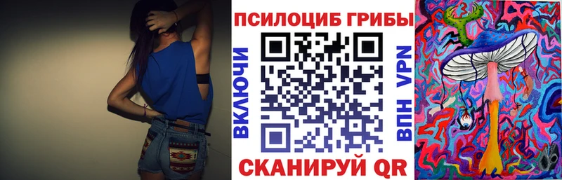 Галлюциногенные грибы Psilocybe  как найти наркотики  Тырныауз 